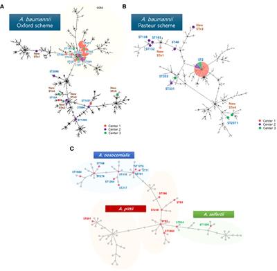 Antimicrobial resistance genes harbored in invasive Acinetobacter calcoaceticus-baumannii complex isolated from Korean children during the pre-COVID-19 pandemic periods, 2015–2020